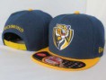 /album/nfl-1-gorra-20EUR-2-gorras-30EUR-/afl-snapback-017-jpg/