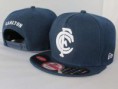 /album/nfl-1-gorra-20EUR-2-gorras-30EUR-/afl-snapback-020-jpg/