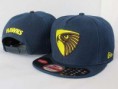 /album/nfl-1-gorra-20EUR-2-gorras-30EUR-/afl-snapback-021-jpg/